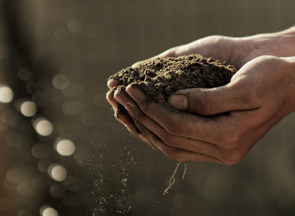 soil symbolizing philosophy on the environment