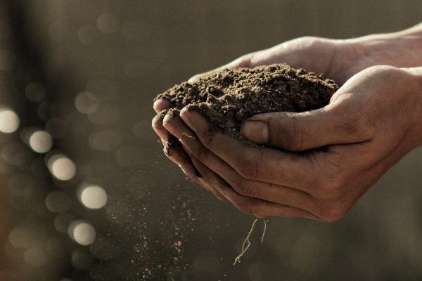 soil symbolizing philosophy on the environment